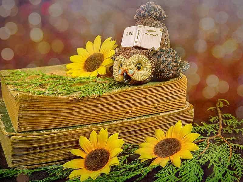 Fairies and Creatures That Love Reading