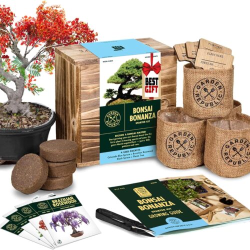 wood gift box, indoor garden gardening gifts ideas