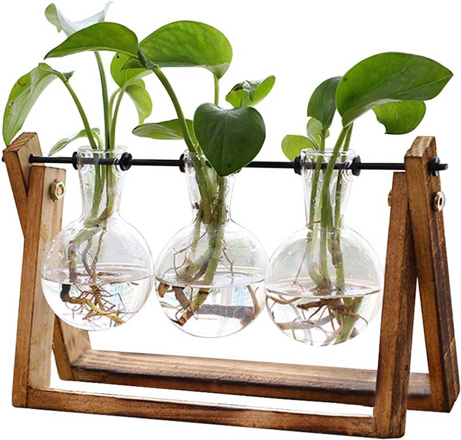 xxxflower plant terrarium with wooden stand