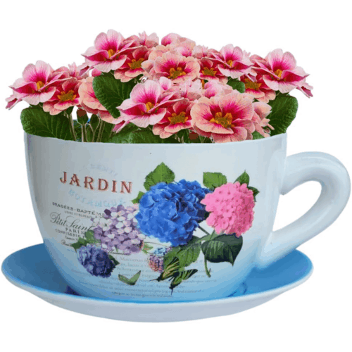 7.5" ceramic teacup planter pot with saucer