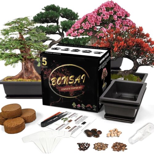 sproutix bonsai starter kit